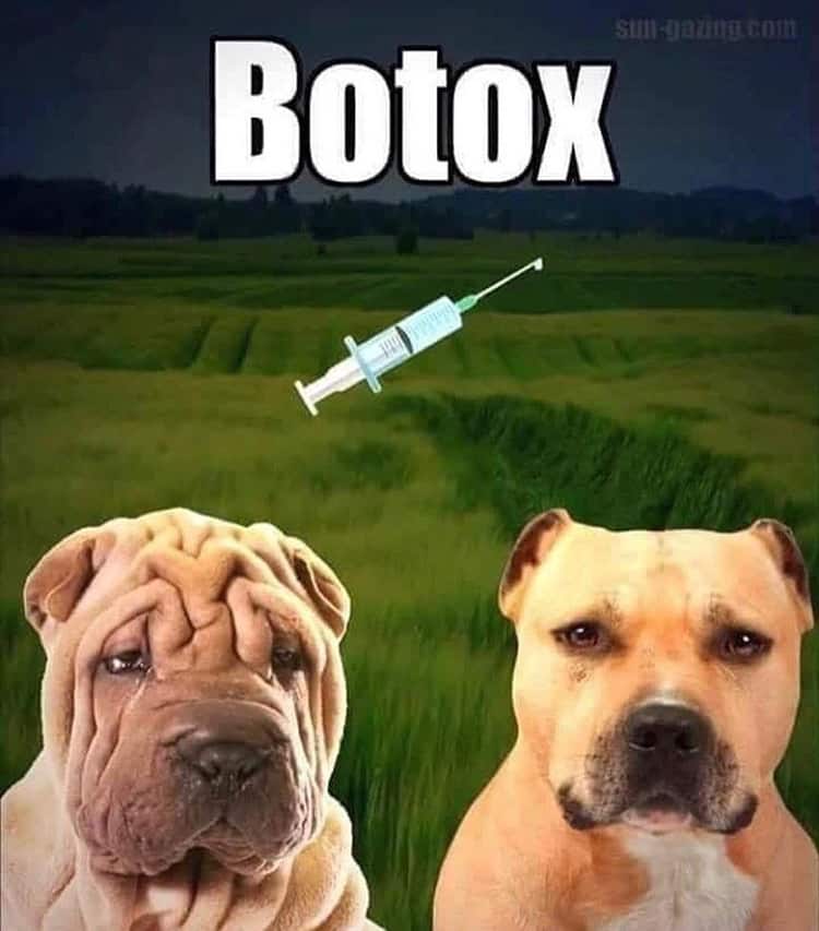 Wrinkles – be gone!